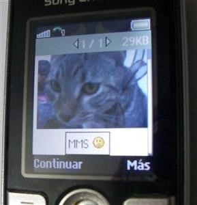 &quot;Flexispy Premium Paid Cell Phone Spy App